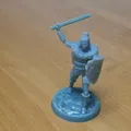Hiệp sĩ Nữ Bóng tối HeroQuest - Thumbnail 3