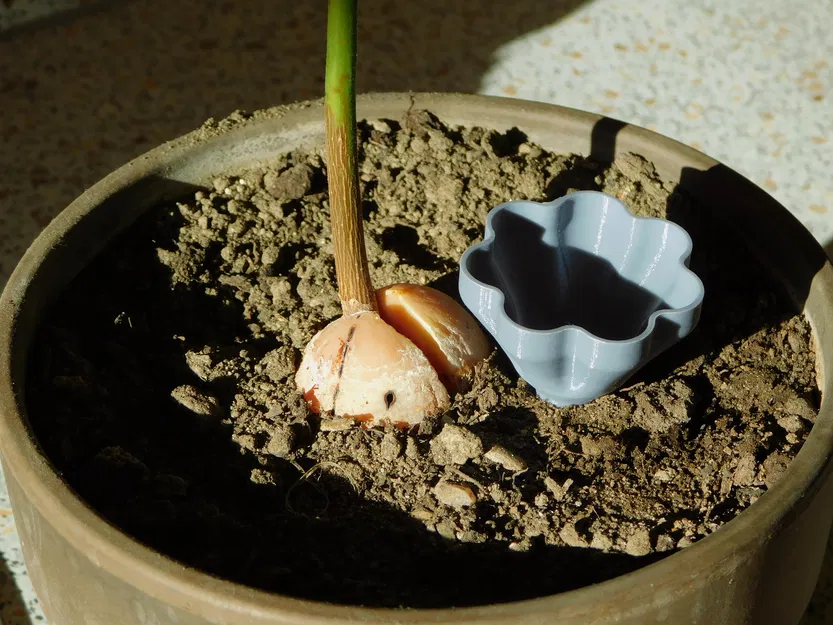 Phễu Tưới Hoa - Image 4