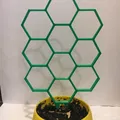 Giá Đỡ Cây Trồng Hình Lục Giác - Thumbnail 1