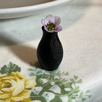 Bình Hoa Đầu Tiên Của Tui