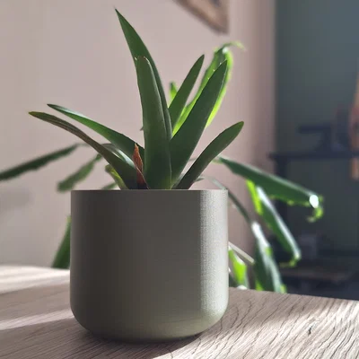 Chậu Cây Tối Giản