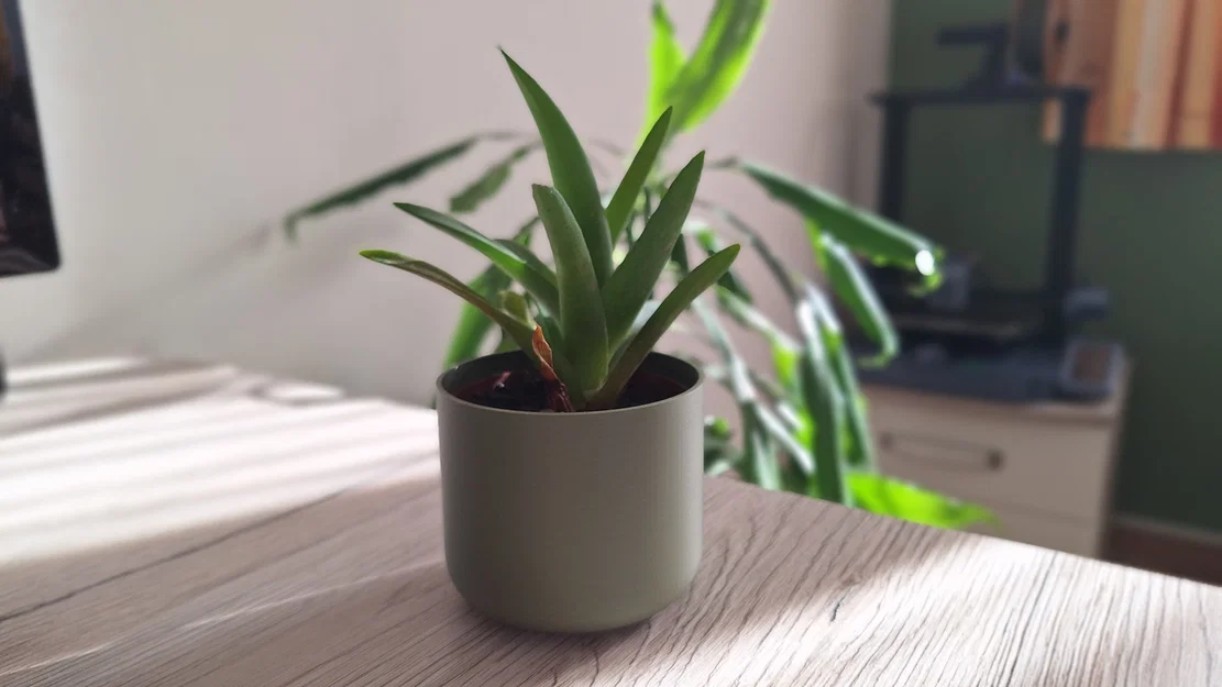 Chậu Cây Tối Giản - Image 2