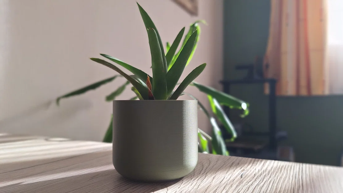 Chậu Cây Tối Giản - Image 3