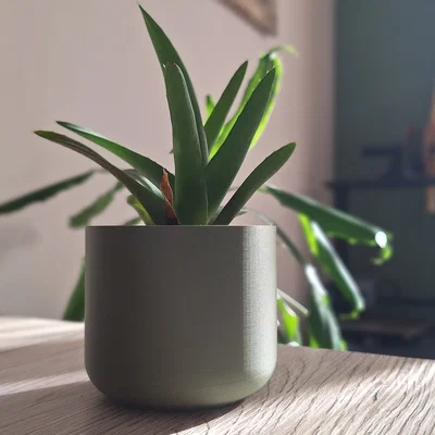 Chậu Cây Tối Giản