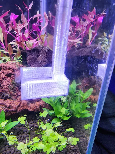 Dụng Cụ Cho Tôm Ăn Hồ Cá - Image 2