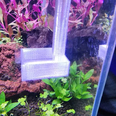 Dụng Cụ Cho Tôm Ăn Hồ Cá