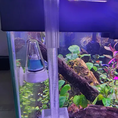 Dụng Cụ Cho Tôm Ăn Hồ Cá