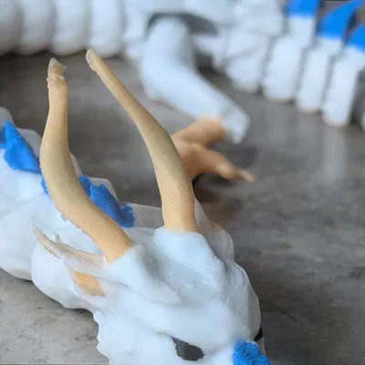 Haku Rồng Đa Sắc