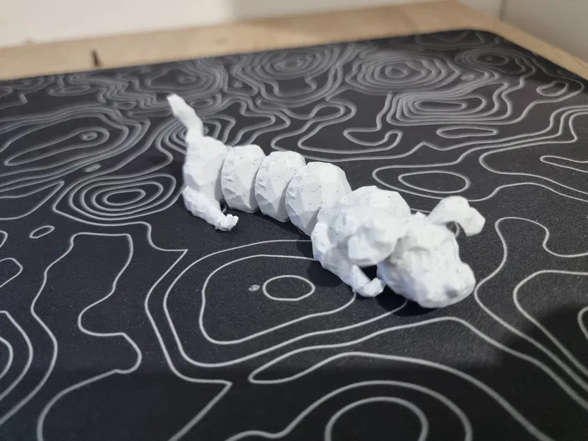 Chó Uốn Dẻo Maltese - Image 1