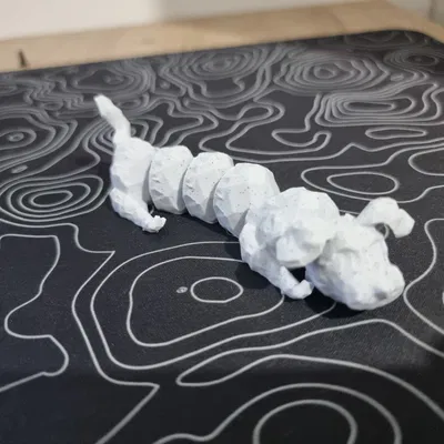 Chó Uốn Dẻo Maltese