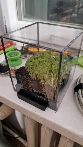 Nhà Kính Đơn Giản - Image 1