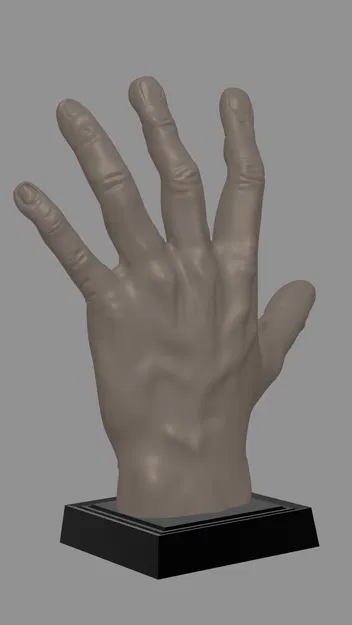 Tay thật - Image 3