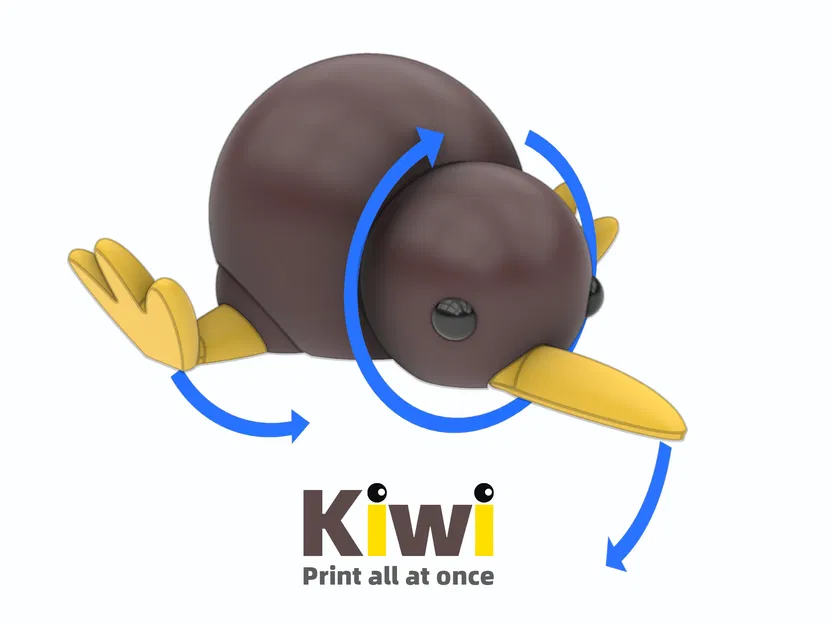 Kiwi - Mô Hình Chim Kiwi Dễ Thương In 3D - Image 2