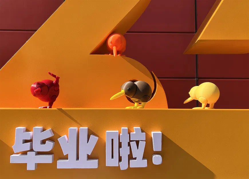 Kiwi - Mô Hình Chim Kiwi Dễ Thương In 3D - Image 3