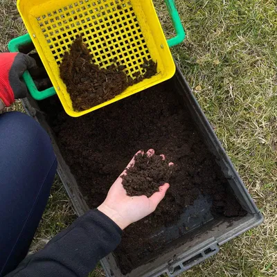 Rây Sàng Đất Sét 3D