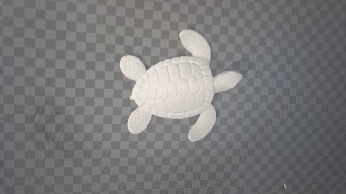 Mô hình Rùa (Schildkröte) 3D - Image 1