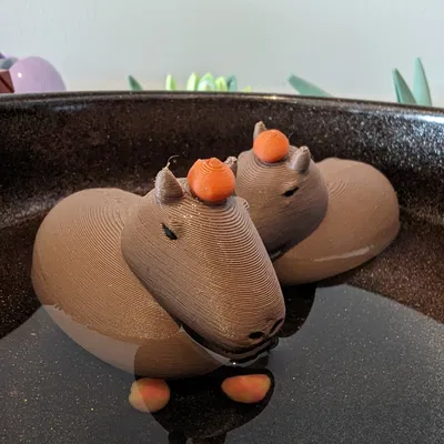 Đồ chơi tắm Capybara nổi