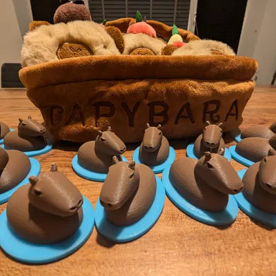 Capybara Trên Mặt Nước