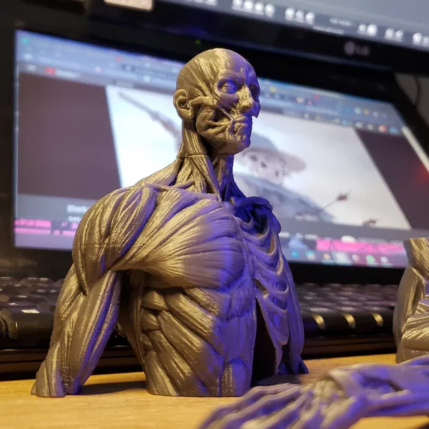 Ecorche - Giải Phẫu Cơ Thể Người - Image 1