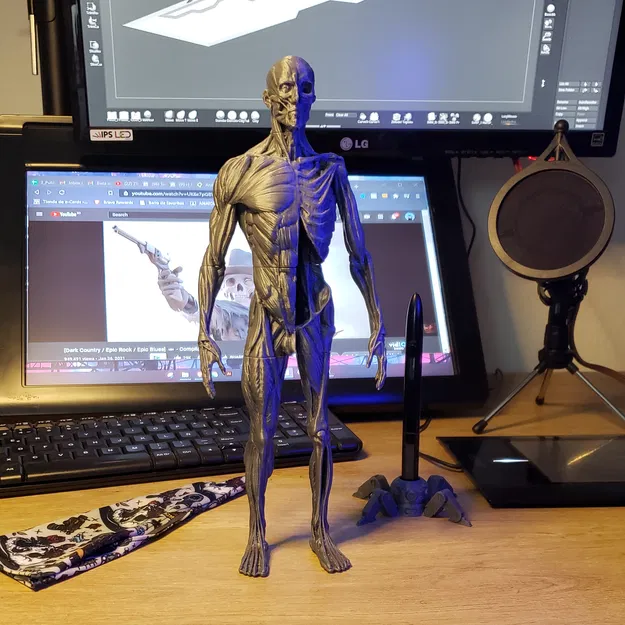 Ecorche - Giải Phẫu Cơ Thể Người - Image 4