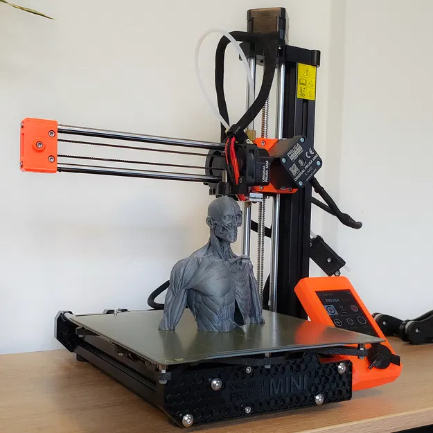 Ecorche - Giải Phẫu Cơ Thể Người - Image 7