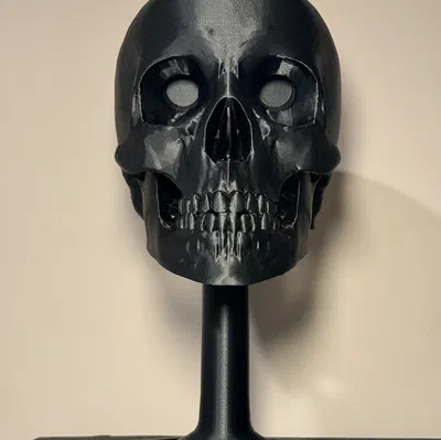 Giá Đỡ Mũ Bảo Hiểm Đầu Lâu (Chống Đạn, NVG, v.v.)