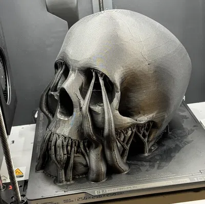 Giá Đỡ Mũ Bảo Hiểm Đầu Lâu (Chống Đạn, NVG, v.v.)