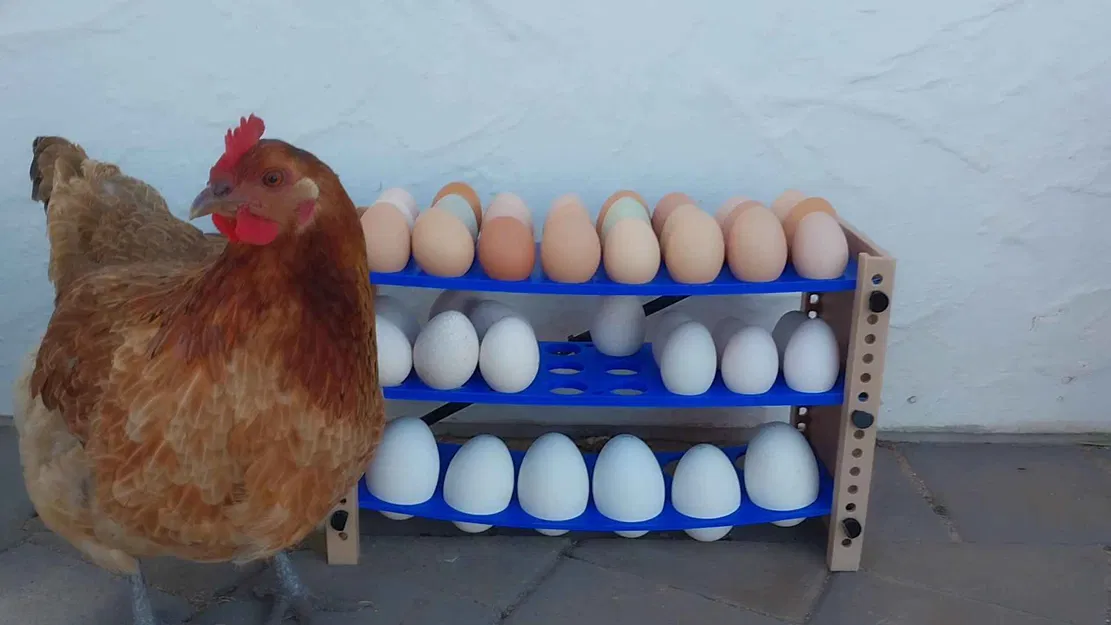 Tháp Trứng Gà và Ngỗng - Image 2