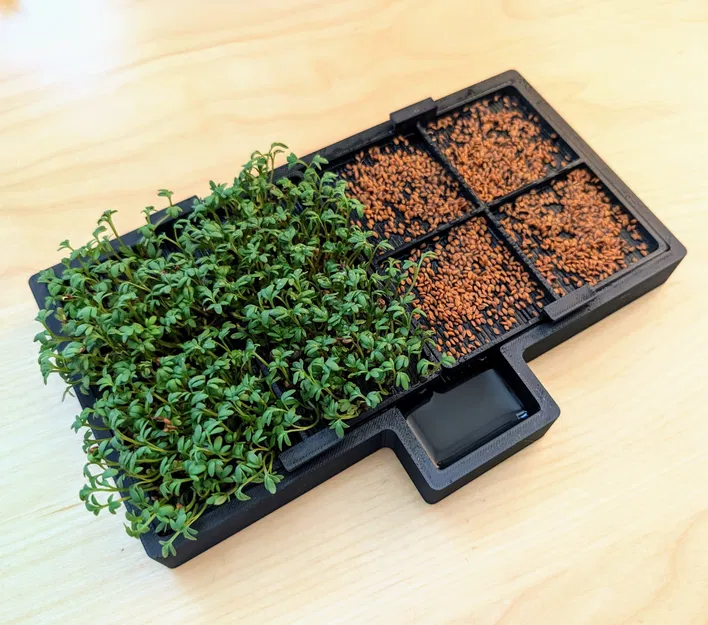 Trang trại cải xoong V2 (trồng giá đỗ) - Image 1