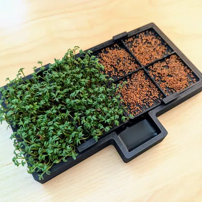 Trang trại cải xoong V2 (trồng giá đỗ)