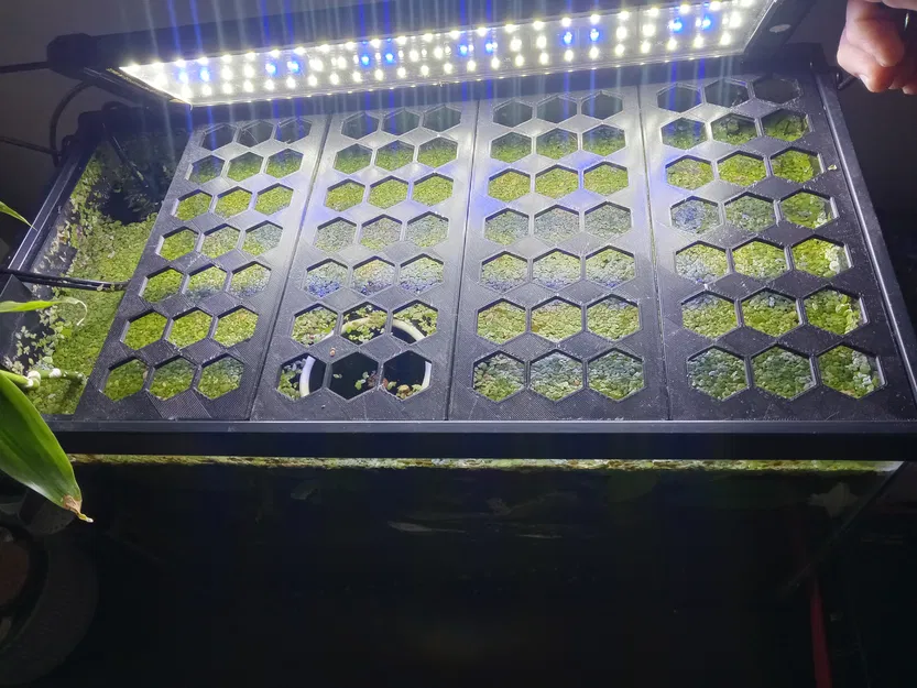 Nắp Bể Cá - Image 1