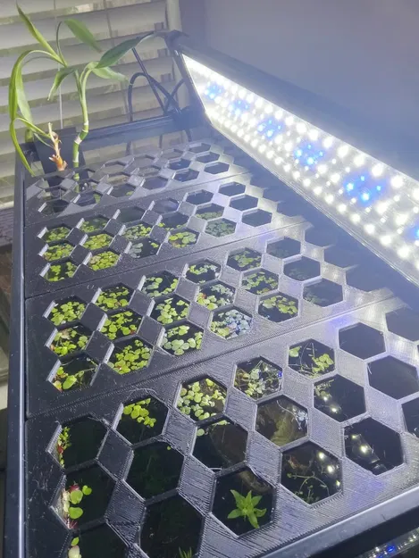 Nắp Bể Cá - Image 3