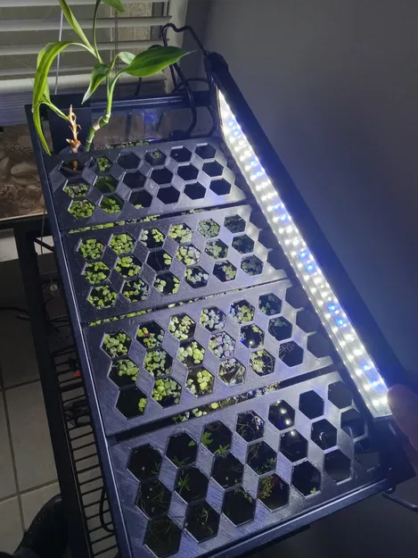 Nắp Bể Cá - Image 4