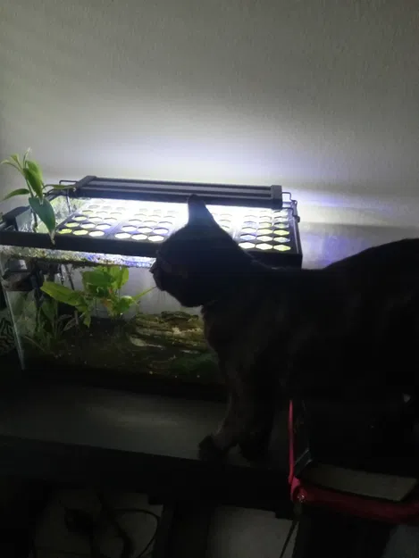 Nắp Bể Cá - Image 5