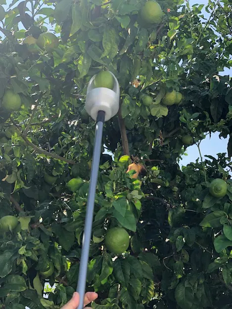 Dụng Cụ Hái Chanh (Và Trái Cây Khác) - Image 7