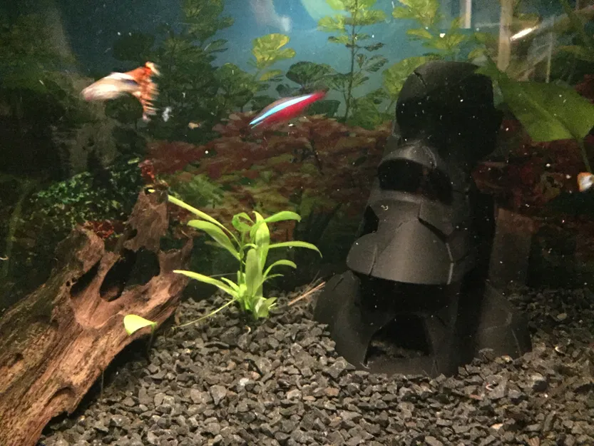 Tượng Moai Bị Vỡ Cho Hồ Cá - Image 1