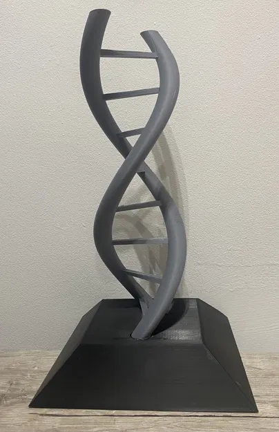 Mô hình cấu trúc xoắn kép DNA - Image 1