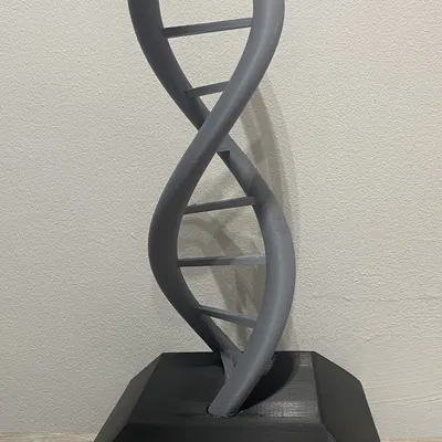 Mô hình cấu trúc xoắn kép DNA