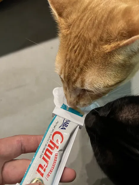 Máng Cho Thú Cưng Ăn Vặt Dạng Lickable 3000 - Image 3