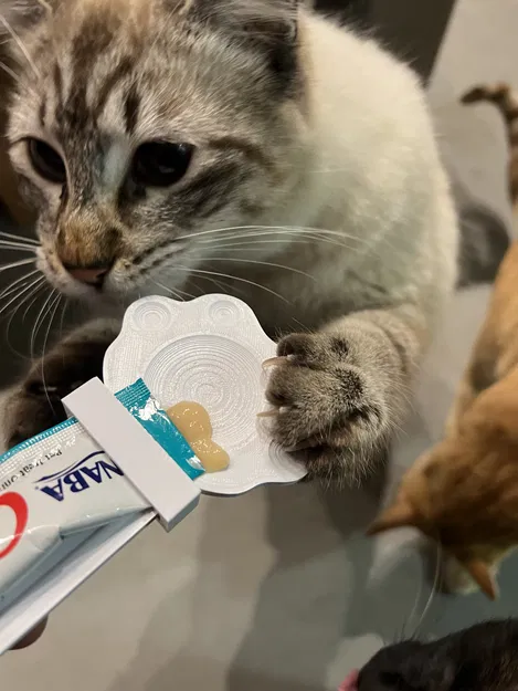 Máng Cho Thú Cưng Ăn Vặt Dạng Lickable 3000 - Image 5