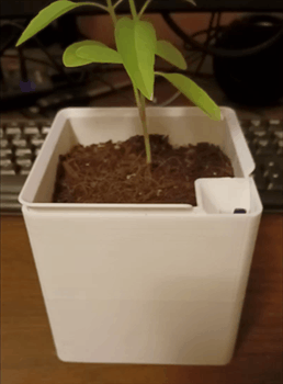 Chậu cây tự tưới thiết kế quá mức kèm đế bấc - Image 1