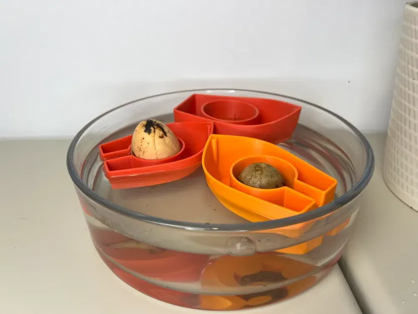 Dụng Cụ Ươm Mầm Bơ - Image 1