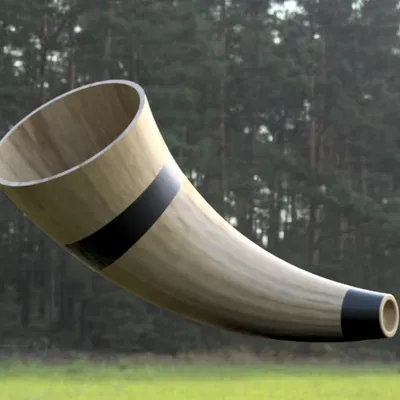 Sừng Viking Cỡ Lớn