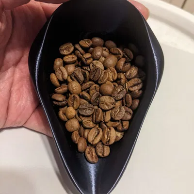 Khay Định Lượng Hạt Cà Phê