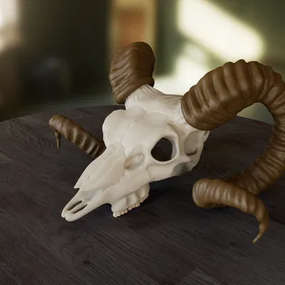 Mặt dây chuyền hình đầu lâu dê