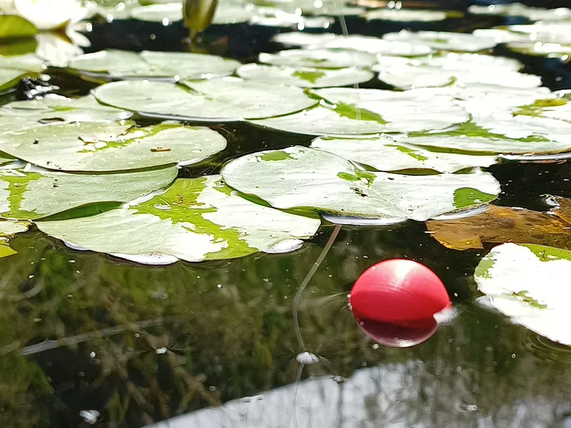 Phao Câu Cá - Image 2