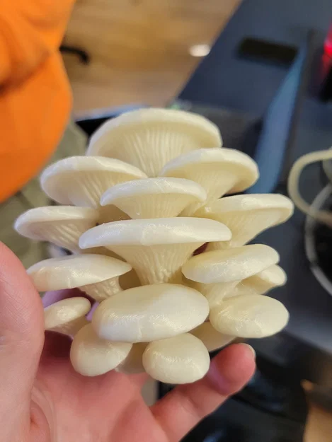 Nấm Sò Xanh Chi Tiết - Image 1