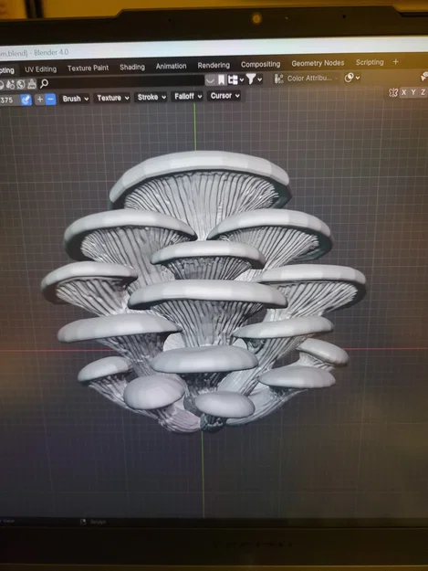 Nấm Sò Xanh Chi Tiết - Image 2