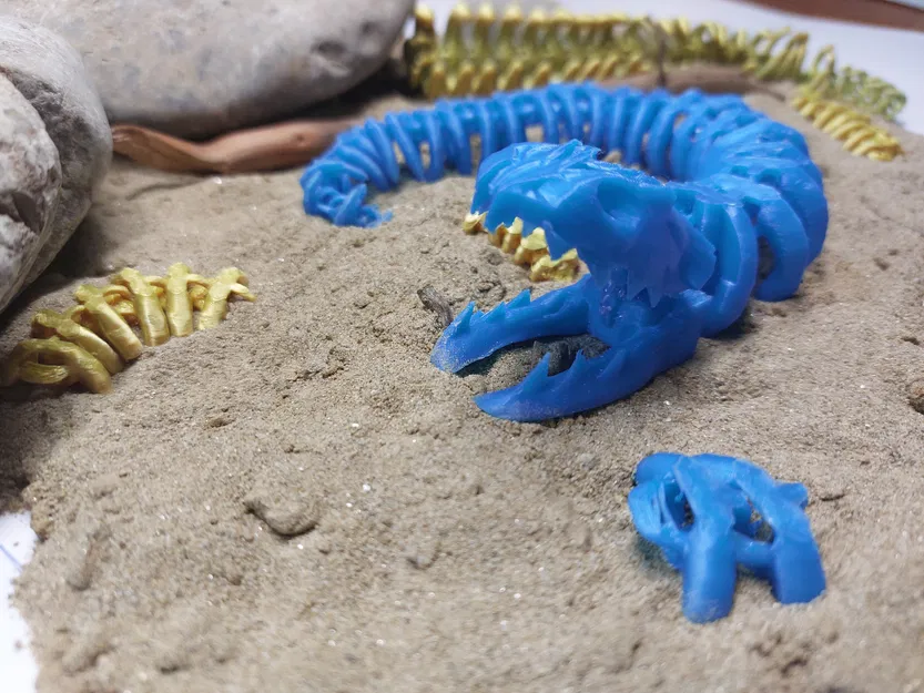 Rắn Khung Xương Khớp Dẻo Đa Khớp! - Image 3