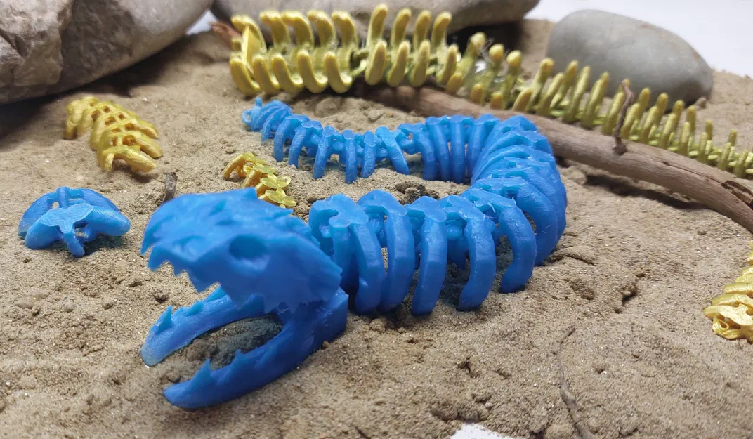 Rắn Khung Xương Khớp Dẻo Đa Khớp! - Image 5